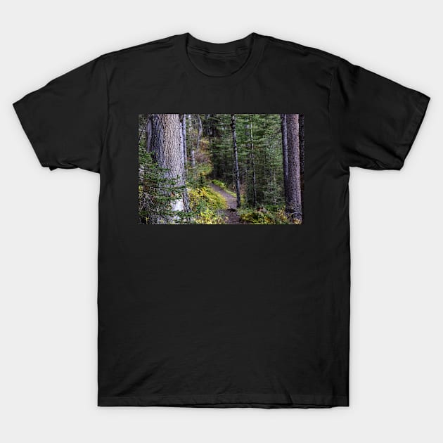 Following the Trail. T-Shirt by CanadianWild418